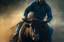Bull_Riding