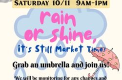 Litchfield_Park_farmers_market