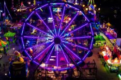 Avondale Carnival Days