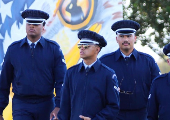 Veterans Day Festival - Goodyear