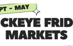 Buckeye Friday Market